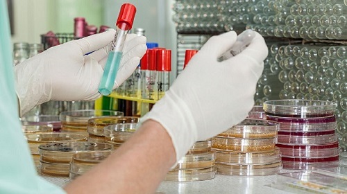 Workplace Drug Test Kits Australia